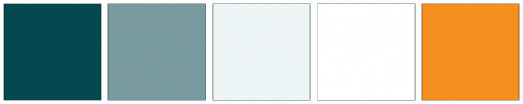 ColorCombo6649 with Hex Colors #054950 #789A9F #EDF4F5 #FFFFFF #F78F1E