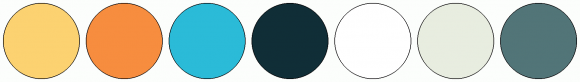 ColorCombo813 with Hex Colors #FCD271 #F78D3F #2BBBD8 #102E37 #FFFFFF # ...