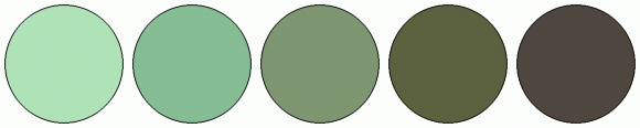 ColorCombo7295 with Hex Colors #AFE3B7 #86BD94 #7E9671 #5C613F #4F473F
