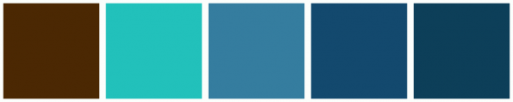 ColorCombo840 with Hex Colors #4B2803 #22C1BB #357D9F #13496E #0D3F59