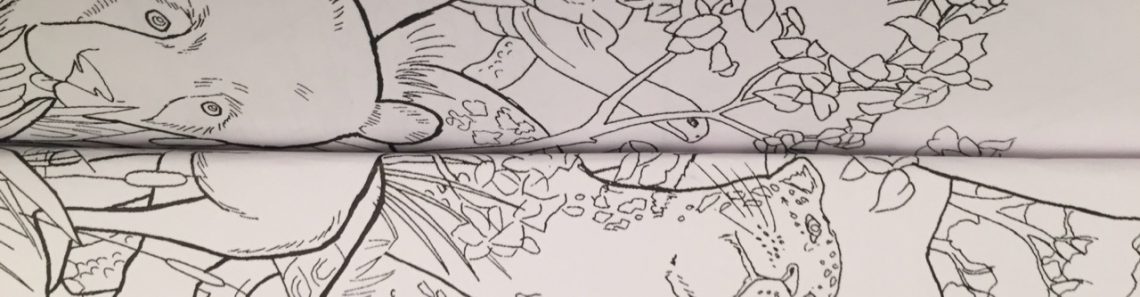 The Water Hole Coloring Book - Review | Coloring Queen