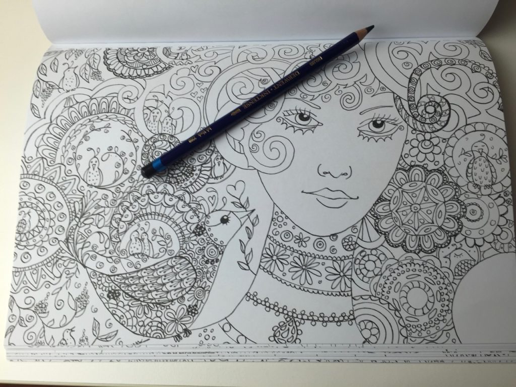 En Sjelden Fugl Coloring Book