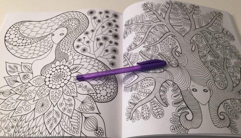 Fairy Shampoo - An Enchanted Coloring Book - Review - Coloring Queen