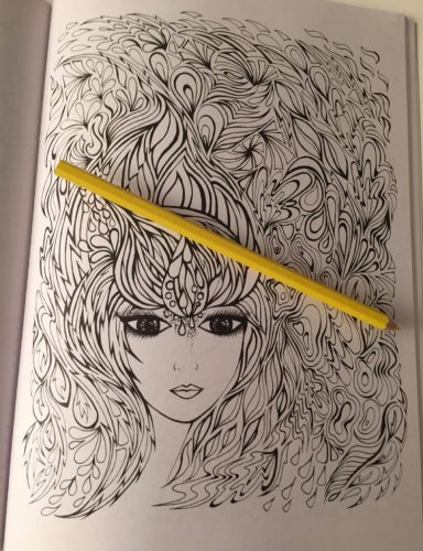 Fanciful Faces - Coloring Book Review - Coloring Queen