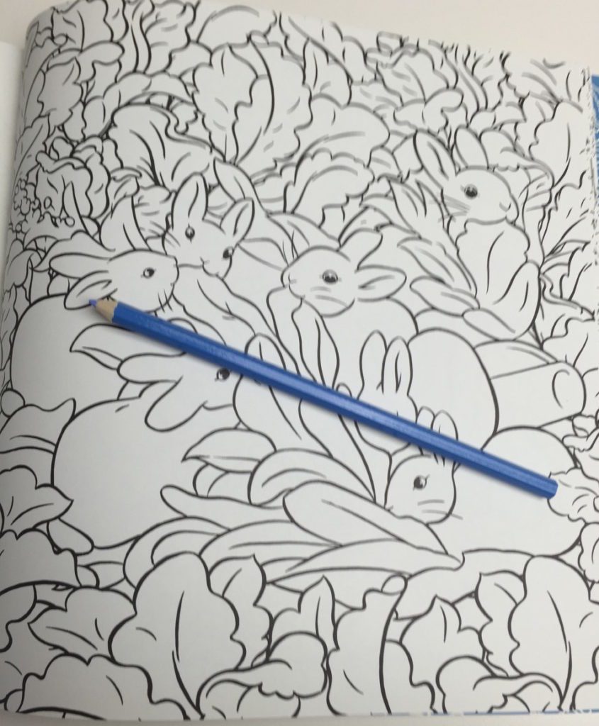 bunnies