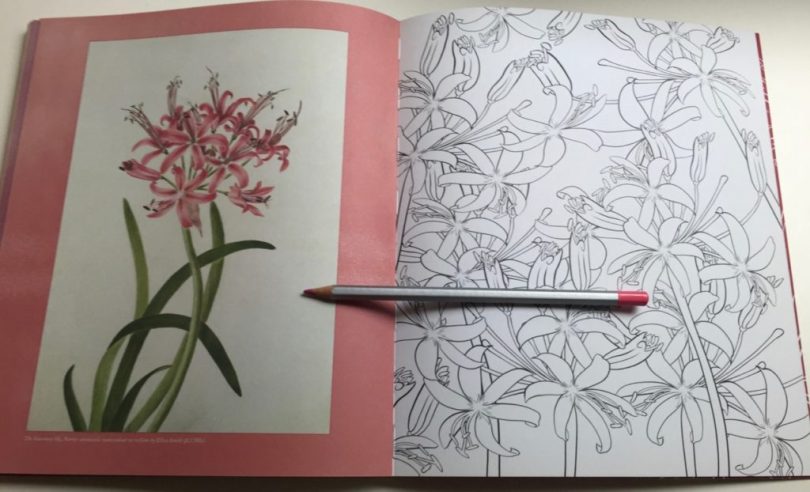 Colouring Rhs RHS Floral Colouring Book Review - Coloring Queen