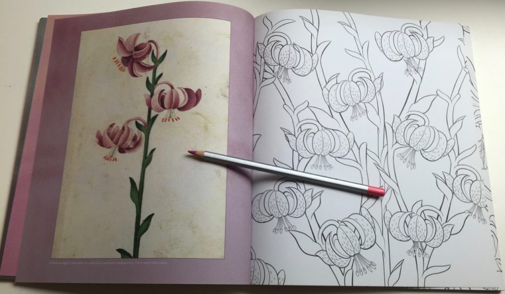 RHS Floral Colouring Book Review - Coloring Queen