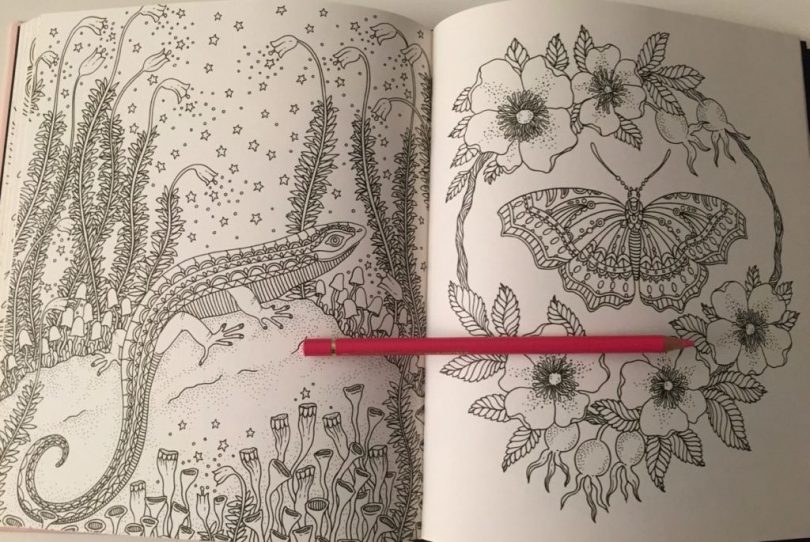 Summer Nights Coloring Book Review - Coloring Queen