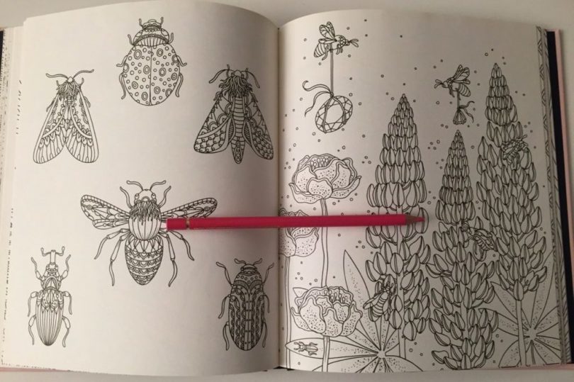 Summer Nights Coloring Book Review Coloring Queen