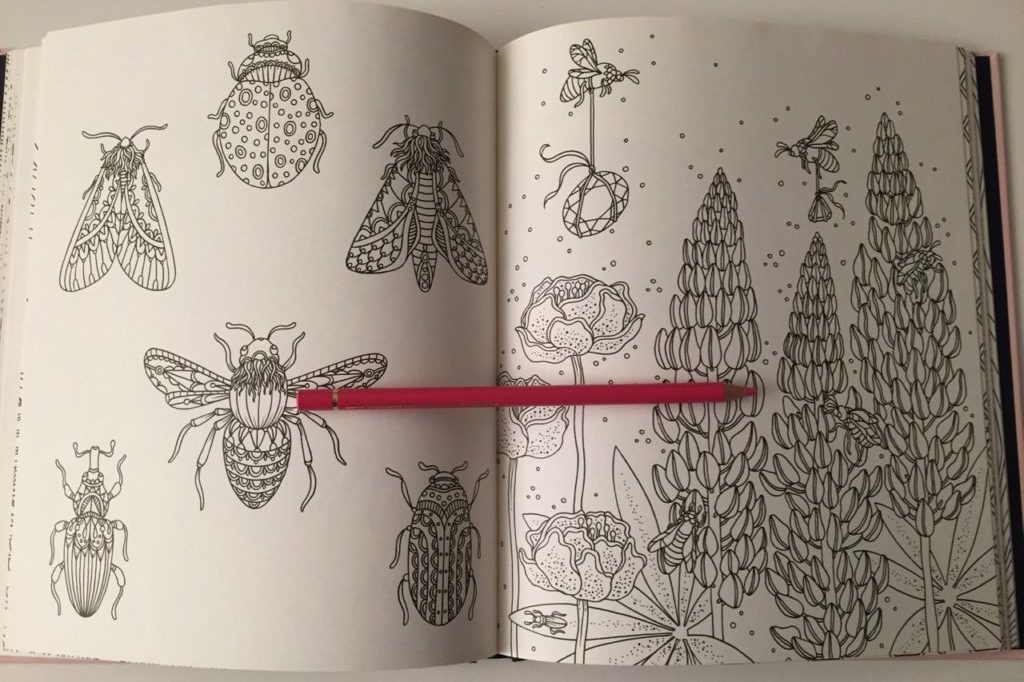 Summer Nights Coloring Book Review - Coloring Queen