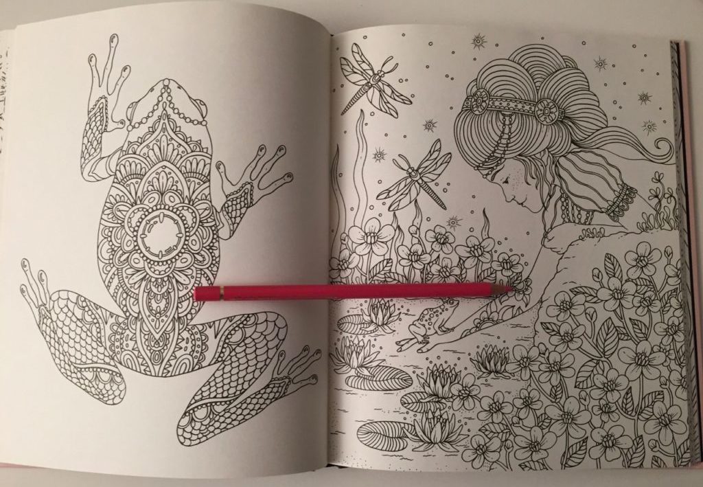 Summer Nights Coloring Book Review Coloring Queen