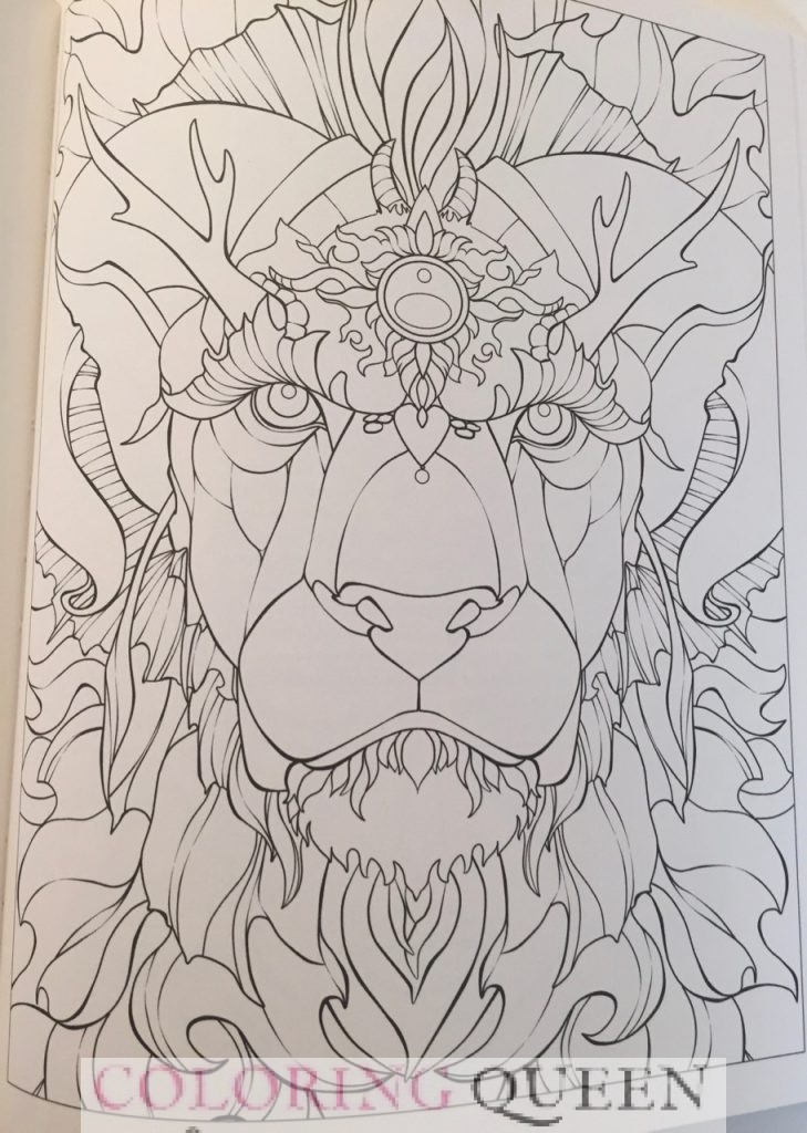Dreams of Dragons Coloring Book 