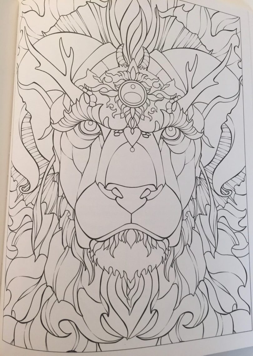 Dreams of Dragons &amp; Dragon Kin Coloring Book - Ravynne Phelan ...
