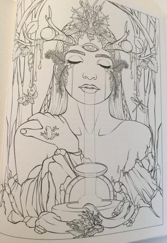 Dreams of Dragons &amp; Dragon Kin Coloring Book - Ravynne Phelan ...