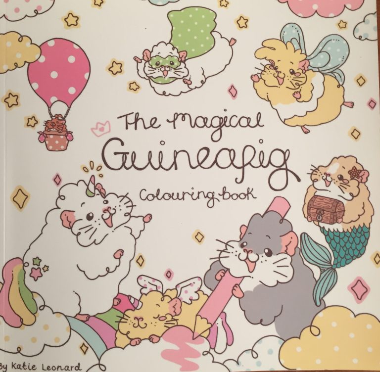 The Magical Guinea Pig Colouring Book Review