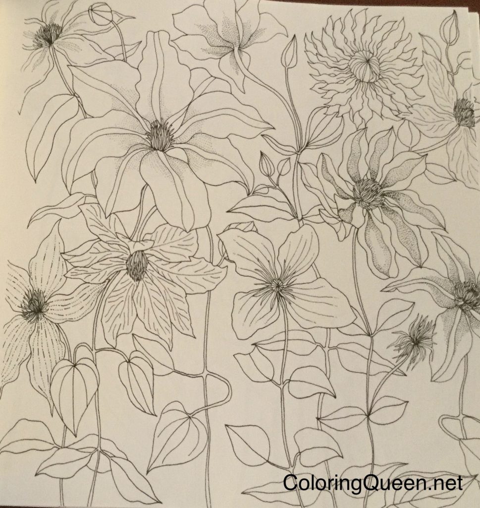 fantastifullflora_0337