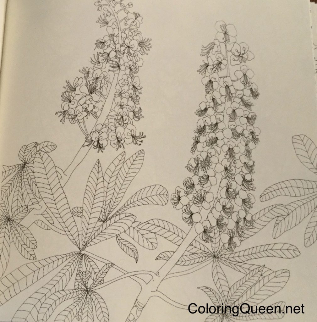 fantasifullflora_0335