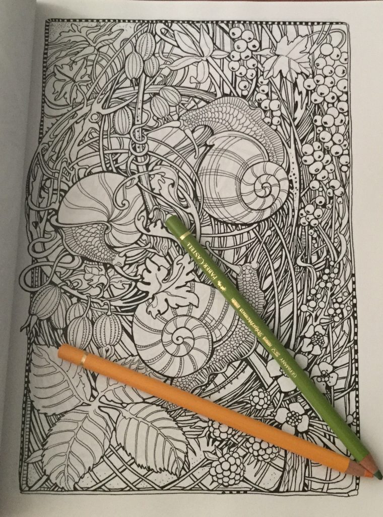 Manic Botanic Coloring Book | Coloring Queen