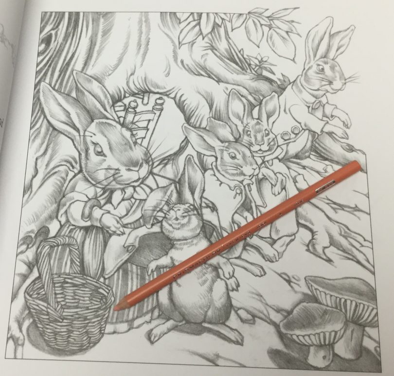 The Peter Rabbit Coloring Book: A Classic Editions Coloring Book