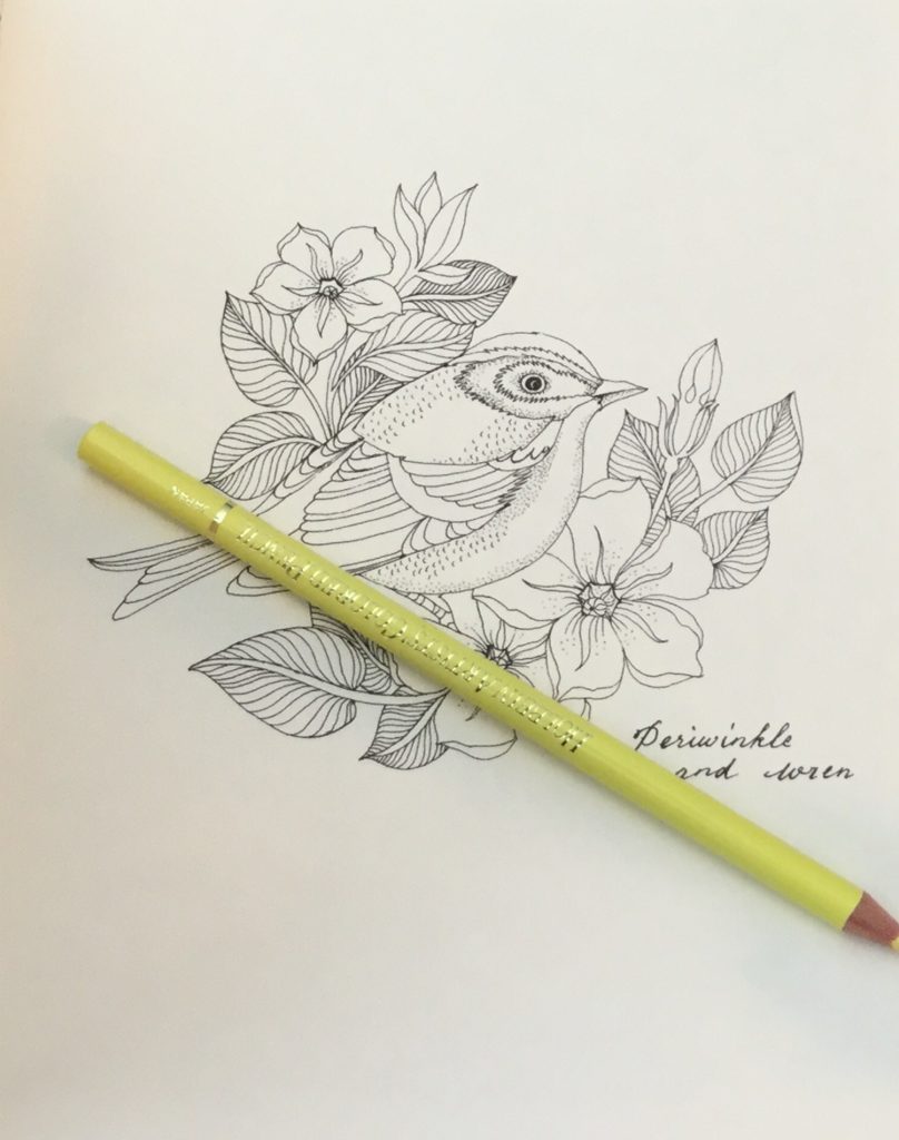 The Flower Year A Coloring Book Coloring Queen