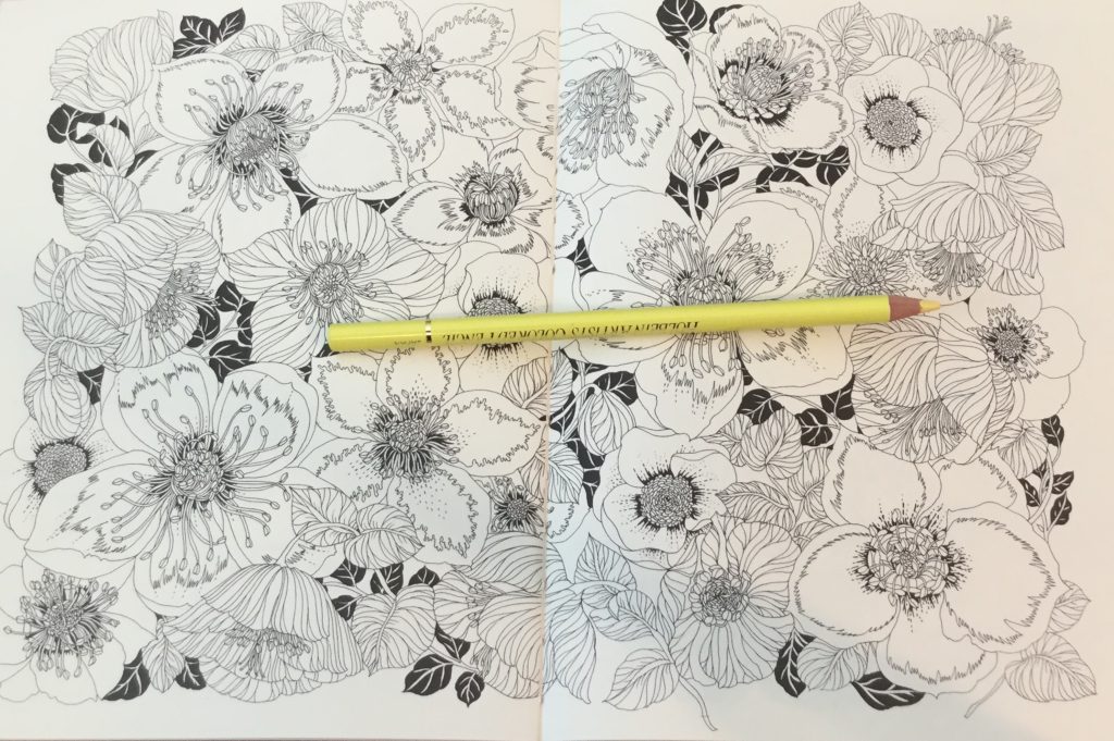 The Flower Year A Coloring Book Coloring Queen