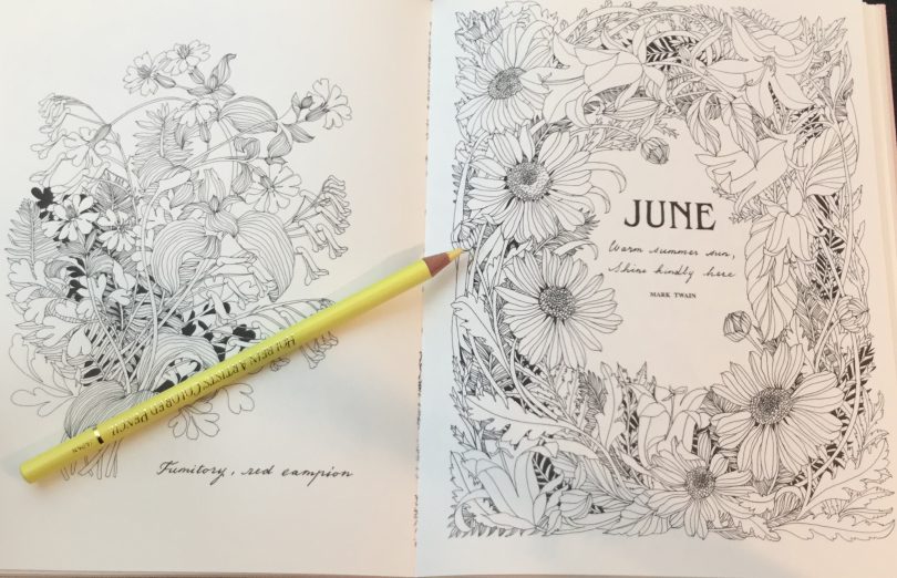 The Flower Year A Coloring Book Coloring Queen