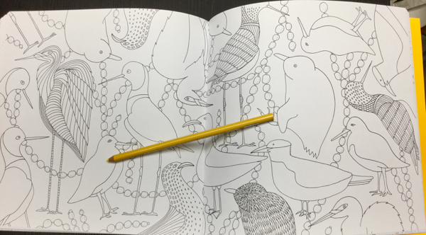 All Good A New Zealand Colouring Book Review Coloring Queen