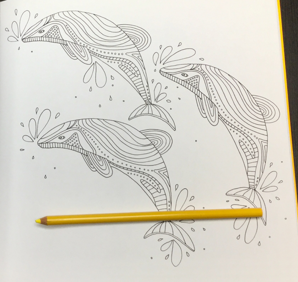 All Good A New Zealand Colouring Book Review Coloring Queen