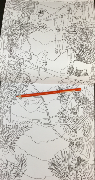 Alice Down the Rabbit Hole Coloring Book Review - Coloring Queen