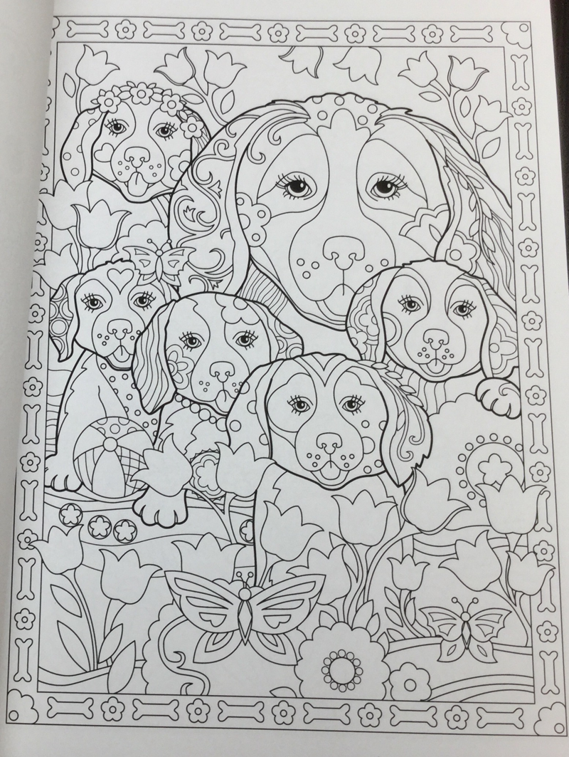 Playful Puppies Coloring Book Review | Coloring Queen