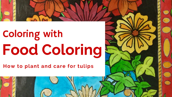 Coloring With Food Coloring Experiment (Budget Watercolor Look)