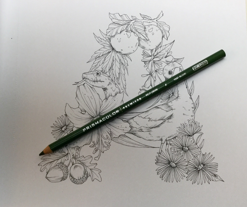 The A Z Of Flora And Fauna Coloring Book Review Coloring - 