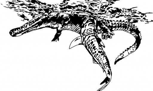 Colors Live - shark vs crocodile by lewis O'Neill