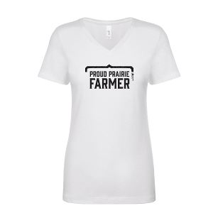 NEXT LEVEL LADIES' IDEAL V-NECK T-SHIRT