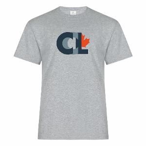 ATC™ EVERYDAY RING SPUN COTTON TEE. AH with CCL HT 8in-CF29228