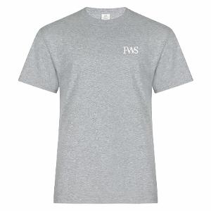 ATC™ EVERYDAY RING SPUN COTTON TEE. AH with FWS 3.5in-CF32224