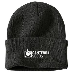CARHARTT ACRYLIC WATCH TOQUE BK with Canterra Seeds - Horizontal -CF33801