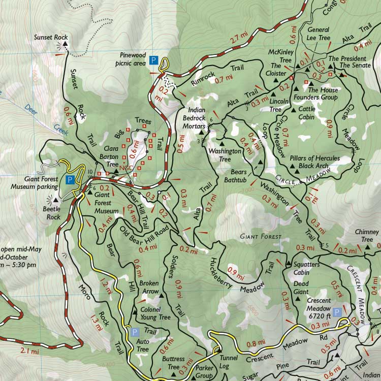 Map Of The Giant Forest Sequoia - 20210514091213GiantForestPreview2 