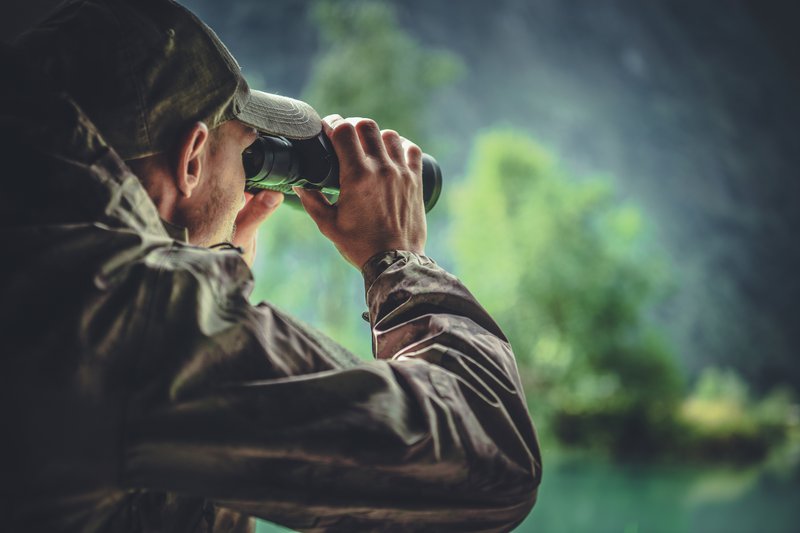 AdobeStock_221036330.jpeg