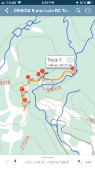 Steve map