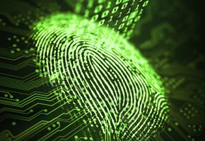 Fingerprint