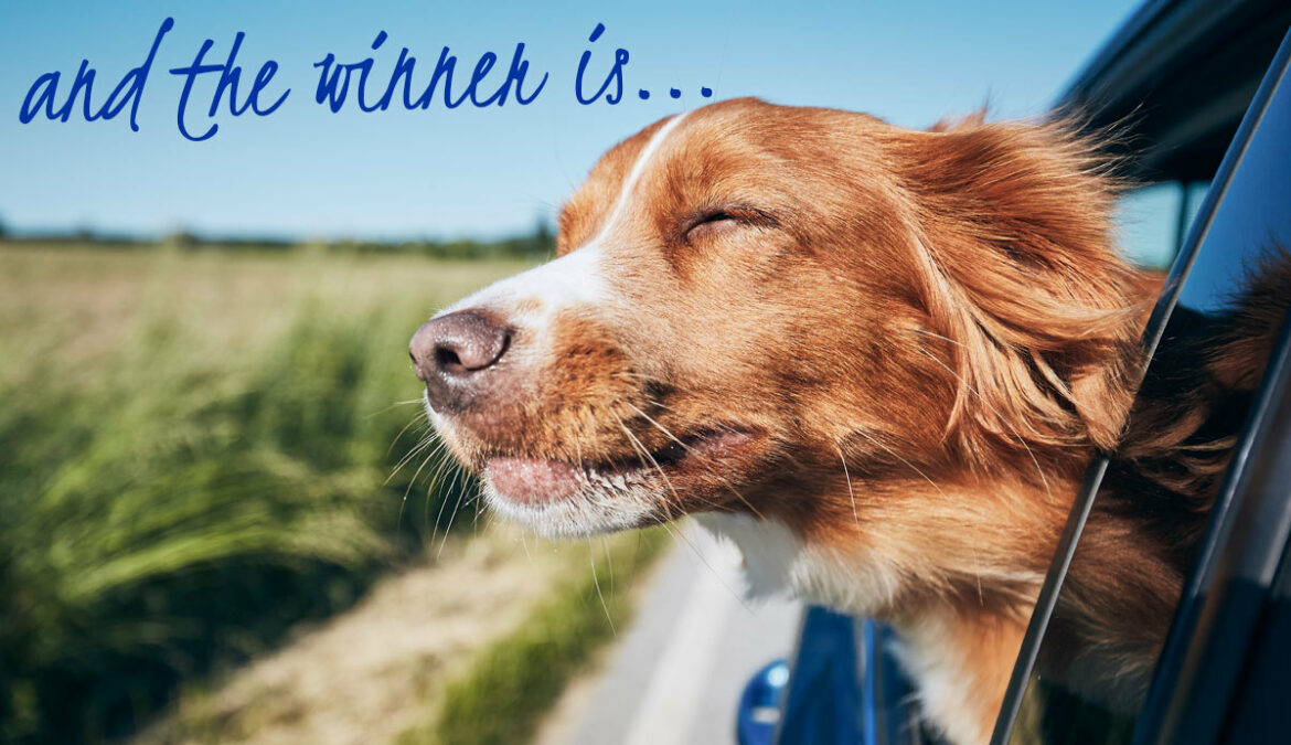 pet drug store near me