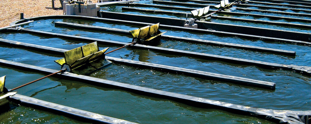 Algae Pond Systems - Raven Engineered Films