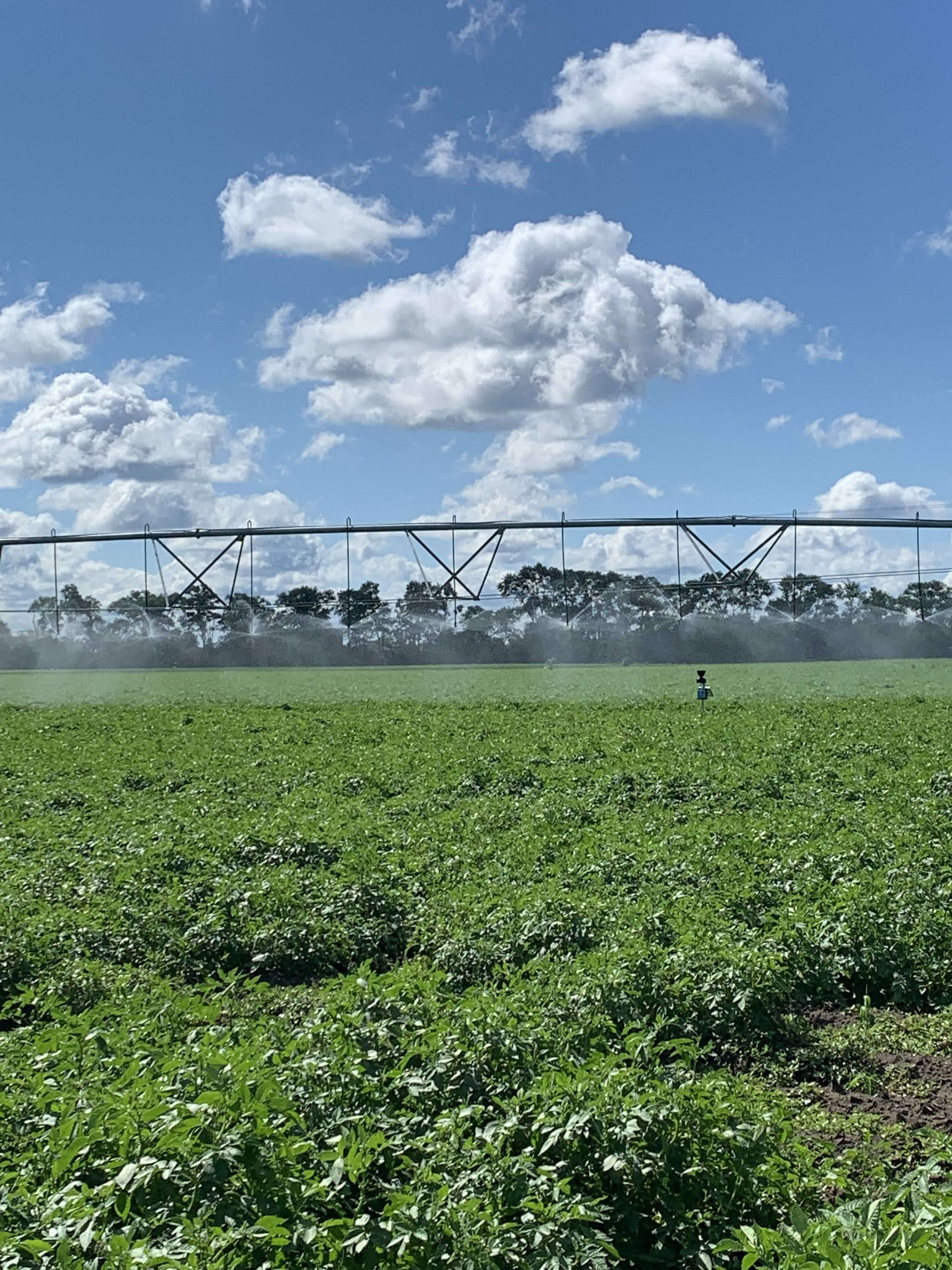 R.D. Offutt Becker Farm hosts Irrigation Association RD Offutt Farms