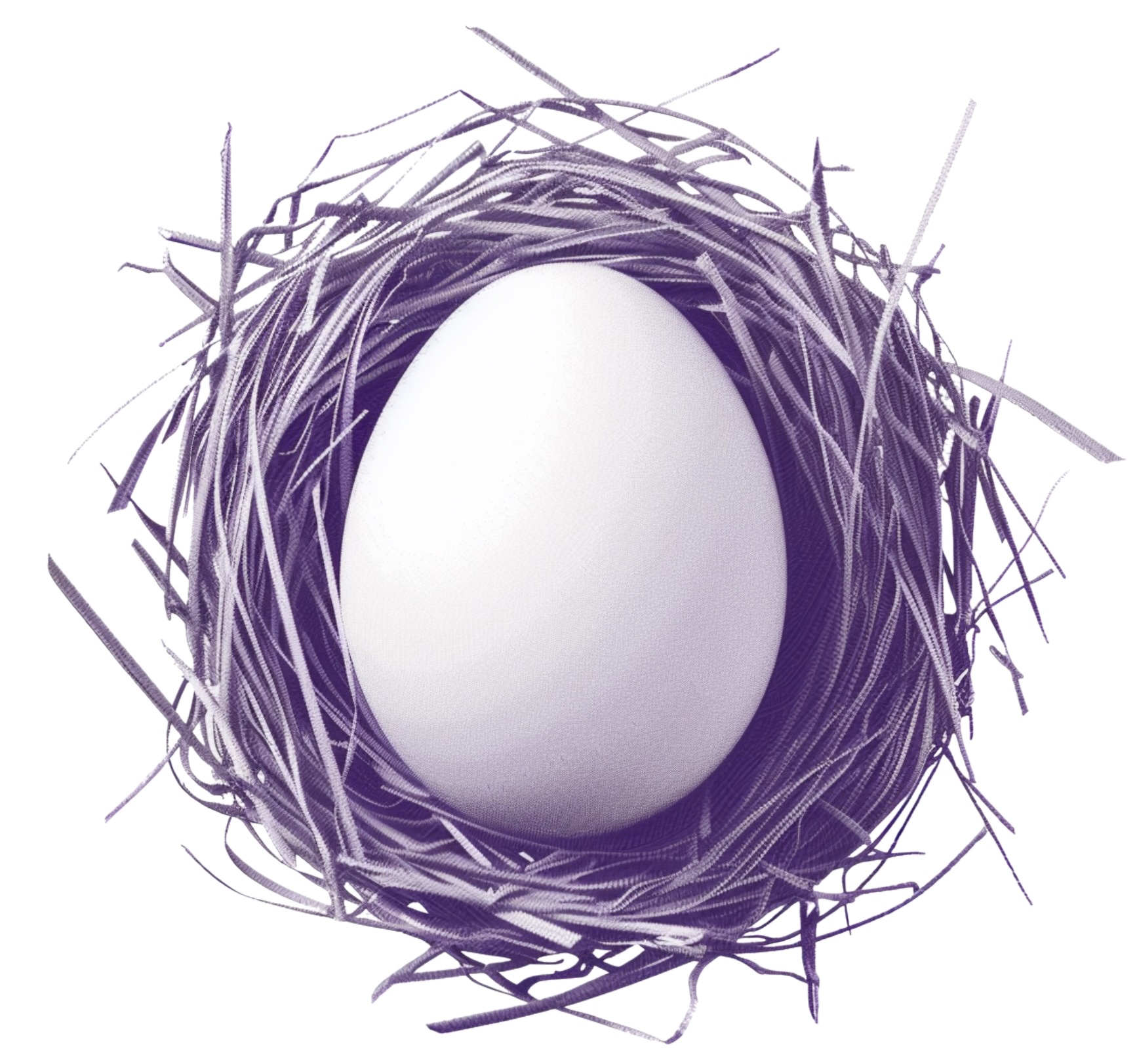 nostr_heldbrand_nest_icon.jpg