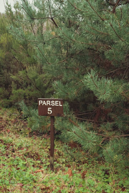 free-photo-of-sign-in-countryside.jpeg