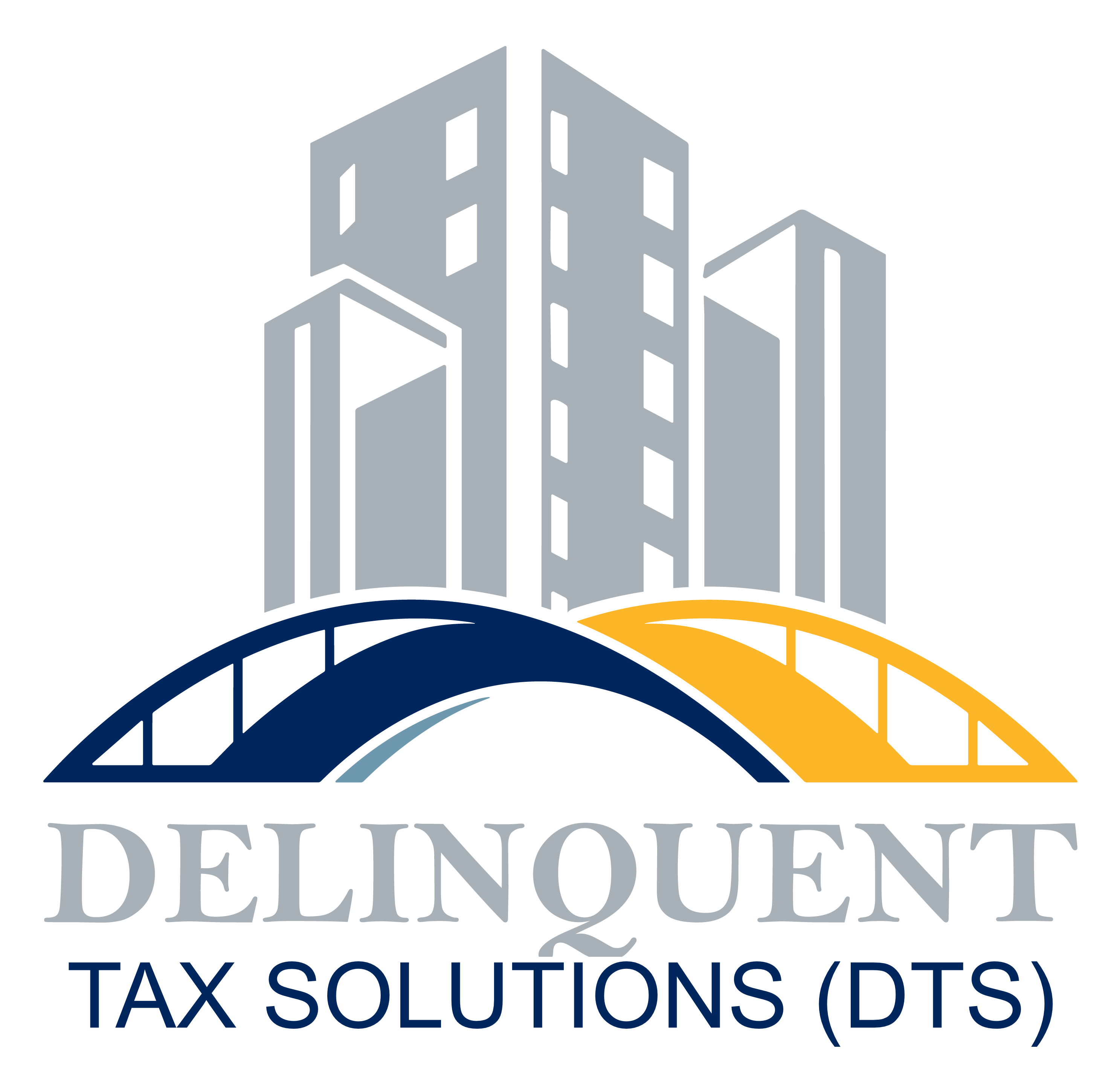 Delinquent_Tax_Solutions_(DTS).png