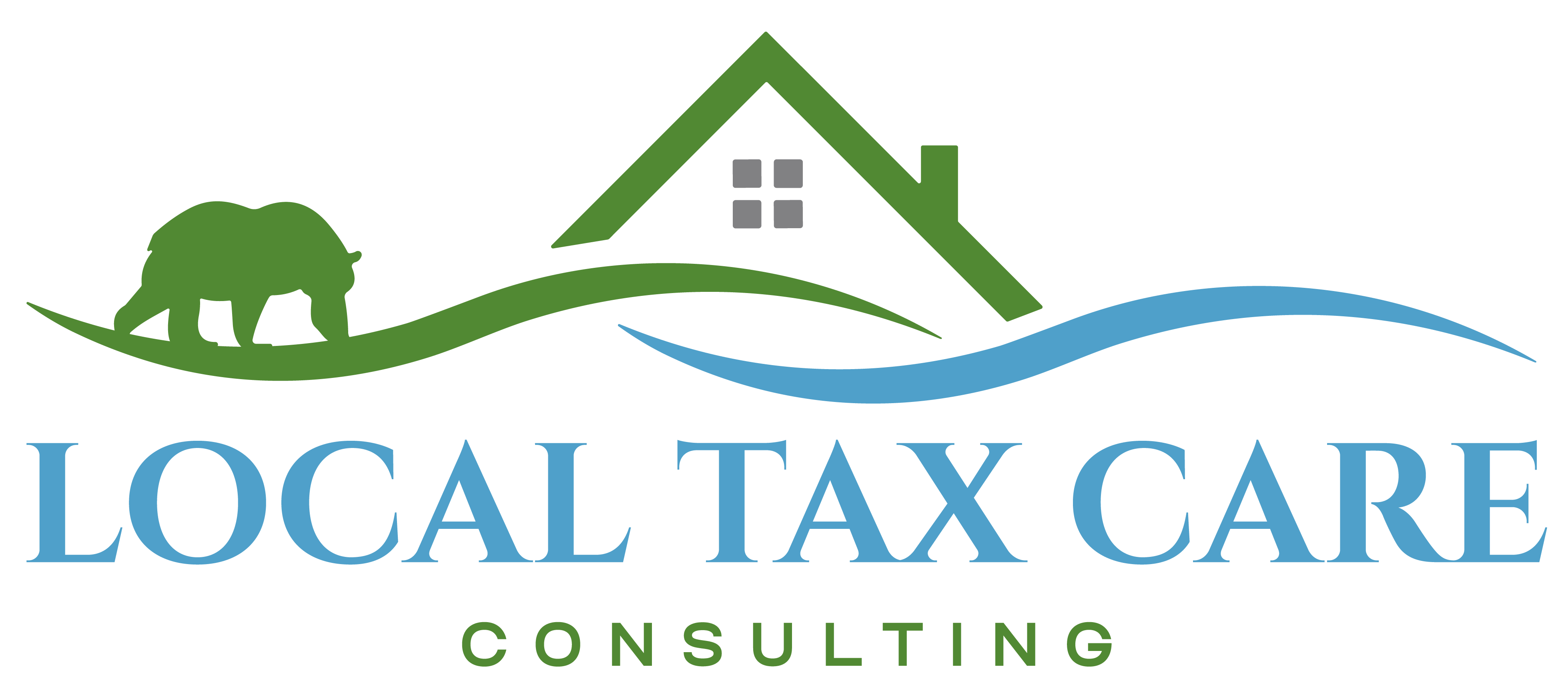 Local_Tax_Care_Consulting.png