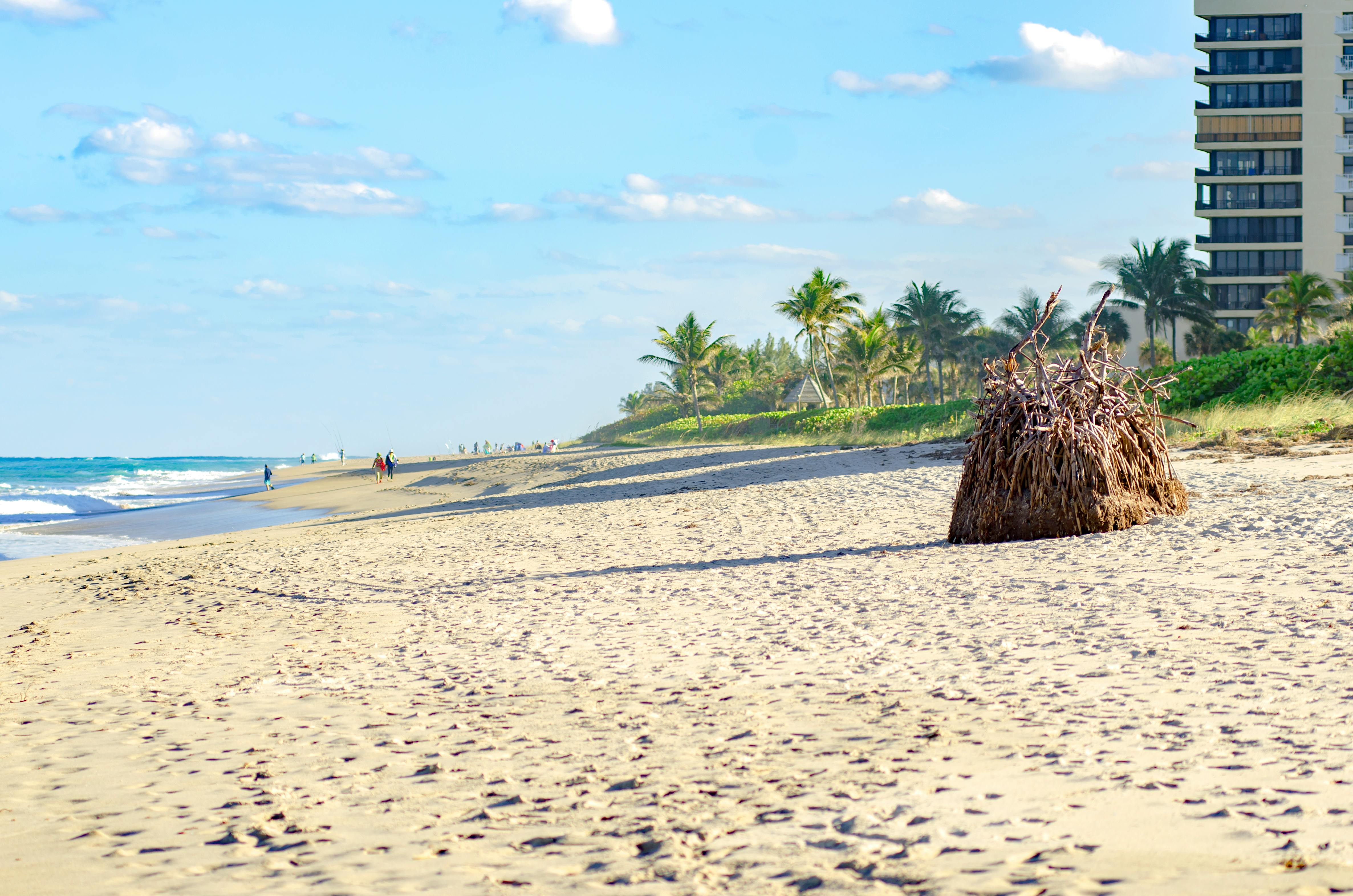 west_palm_beach_florida.jpg