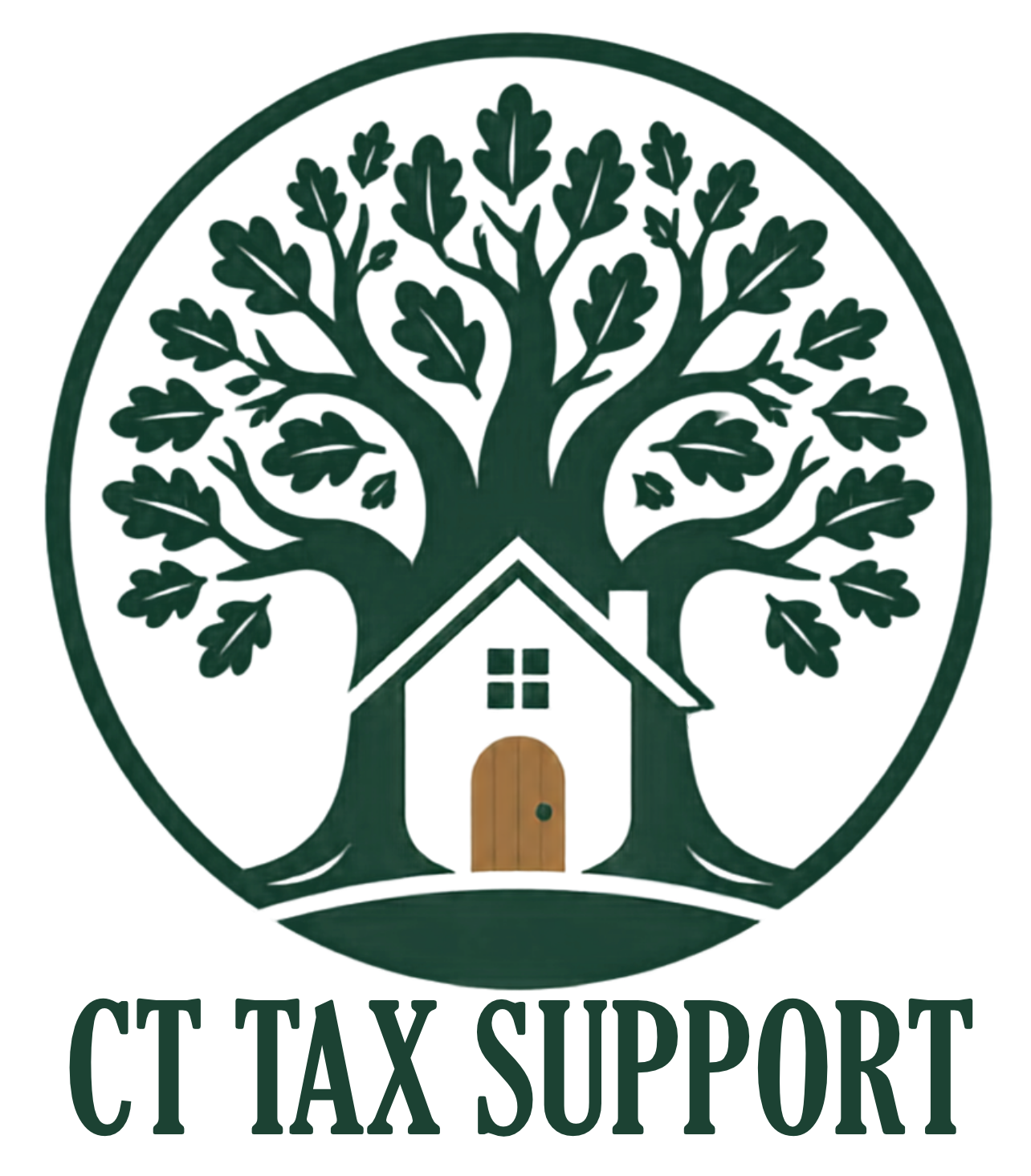 CT_Tax_Support.png